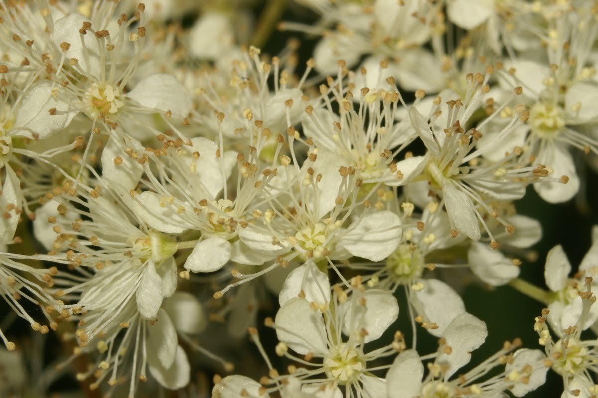 mejorar tu circulación