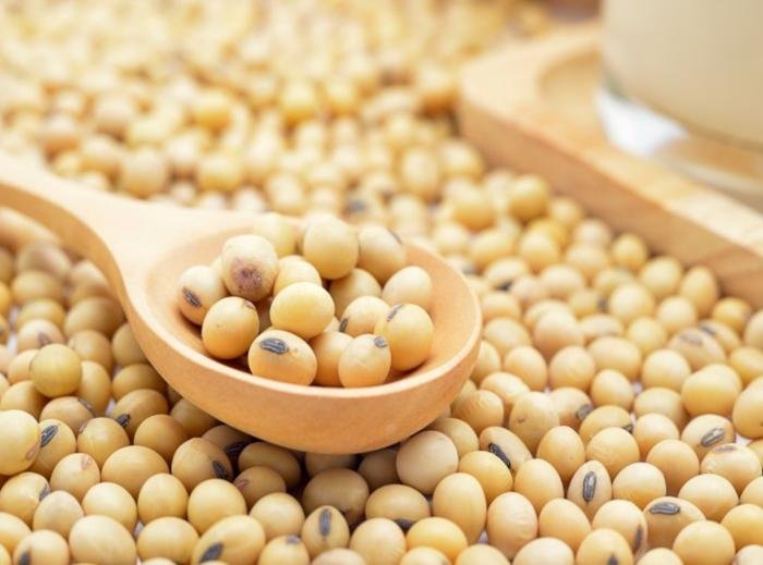 retrasar la menopausia