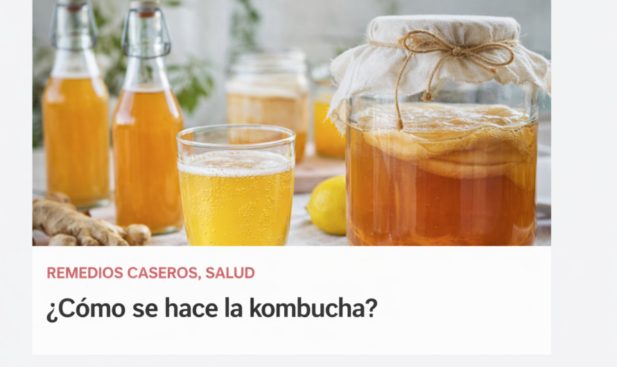 ¿Cómo se hace la kombucha?